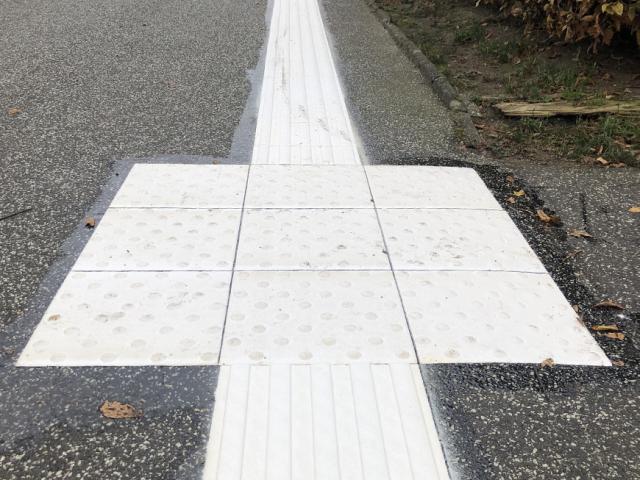 TacGuide⢠lead the way for the visually impaired