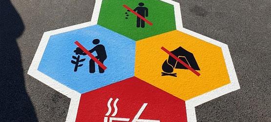 Colourful Guidance in South Korea